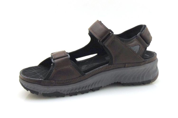 Allrounder Honduras (250484) - Reynders - Daenen