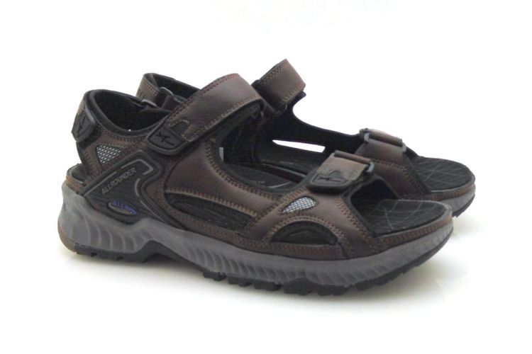 Allrounder Honduras (250484) - Reynders - Daenen