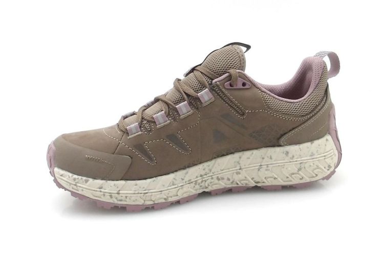 Allrounder X-Globe (250699) - Reynders - Daenen