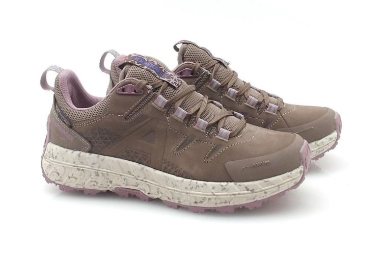 Allrounder X-Globe (250699) - Reynders - Daenen