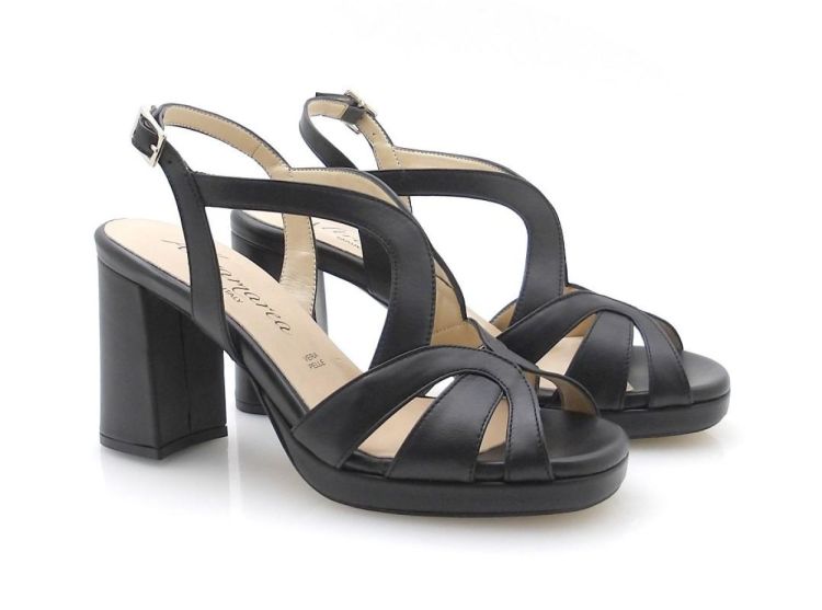 Altramarea 99901 (260257) - Reynders - Daenen