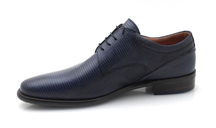 AMBIORIX Aldo-sup 10-breed (260179) - Reynders - Daenen