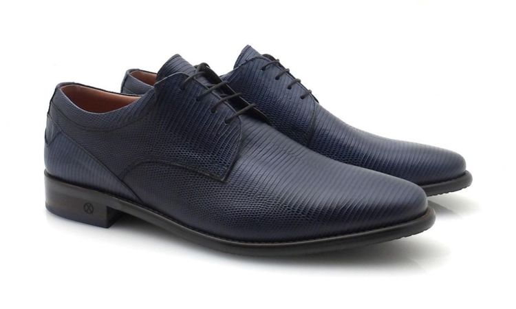 AMBIORIX Aldo-sup 10-breed (260179) - Reynders - Daenen