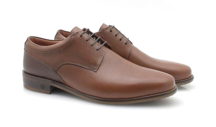 AMBIORIX Eldon -sup (260144) - Reynders - Daenen