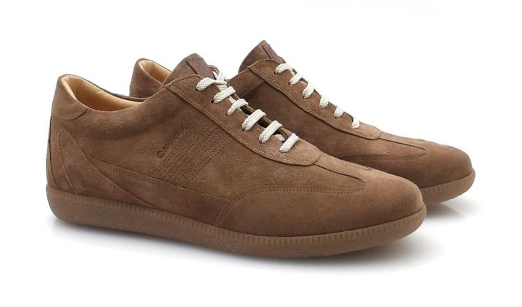 AMBIORIX Onda (260010) - Reynders - Daenen