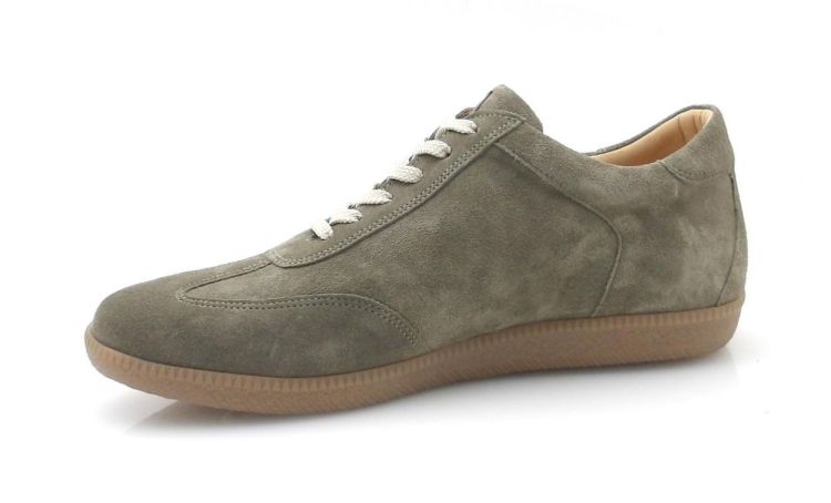 AMBIORIX Onda (260144) - Reynders - Daenen