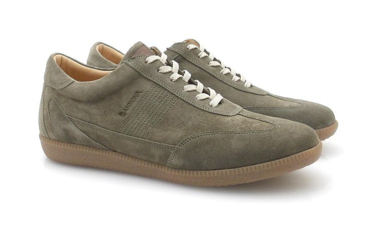 AMBIORIX Onda (260144) - Reynders - Daenen