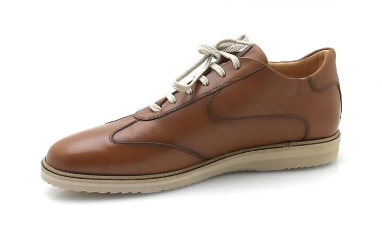 AMBIORIX Paxton  (260179) - Reynders - Daenen