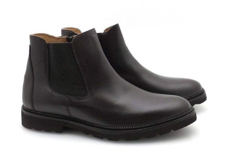 AMBIORIX Poggio (260799) - Reynders - Daenen
