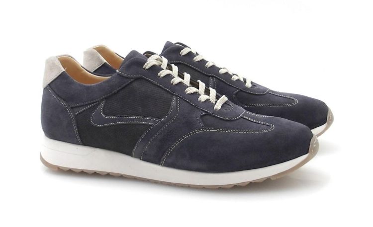 AMBIORIX Rivarios (260144) - Reynders - Daenen