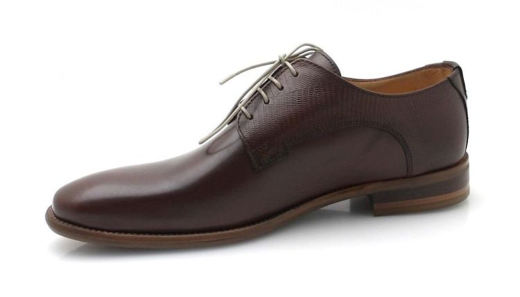 AMBIORIX Rodi (260144) - Reynders - Daenen