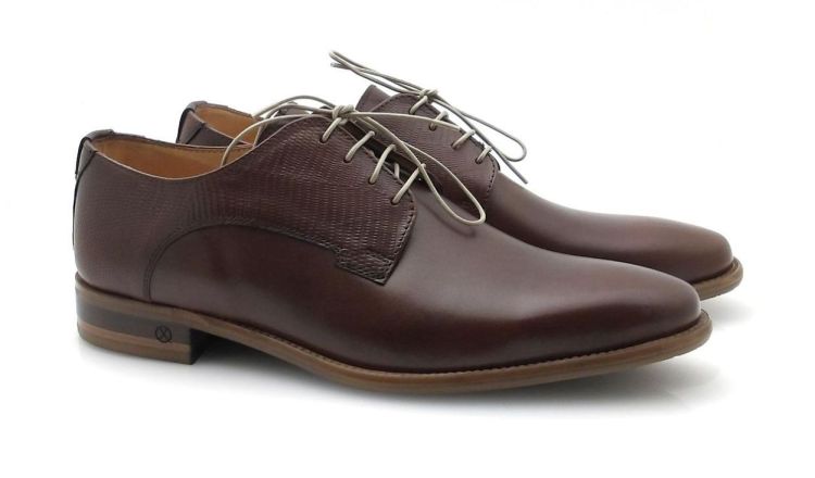 AMBIORIX Rodi (260144) - Reynders - Daenen