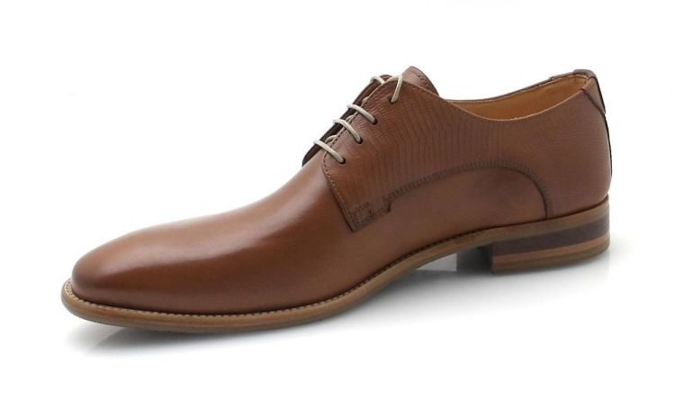 AMBIORIX Rodi (260179) - Reynders - Daenen