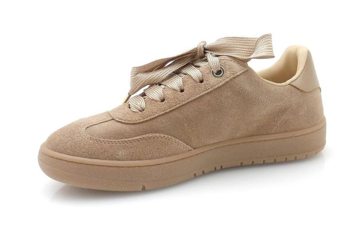 Andrea Morelli 53058 (250583) - Reynders - Daenen