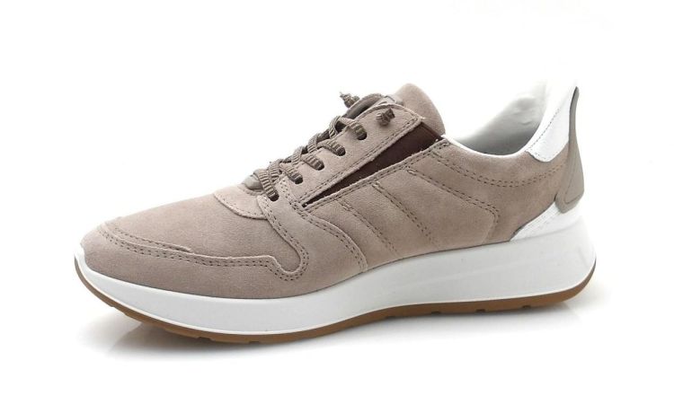 ARA 11-28606-05 (260132) - Reynders - Daenen