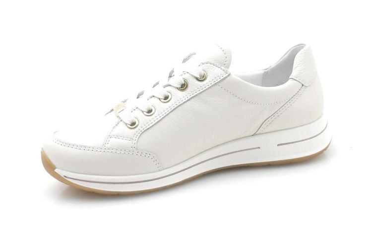 ARA 12-24801-97 (260187) - Reynders - Daenen