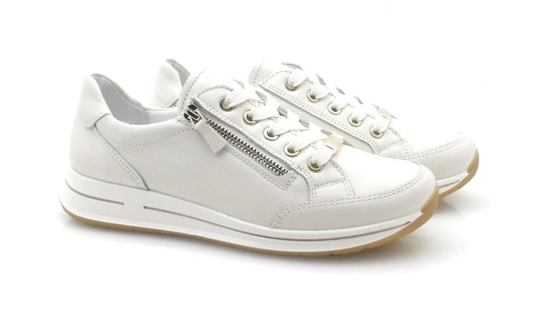 ARA 12-24801-97 (260187) - Reynders - Daenen