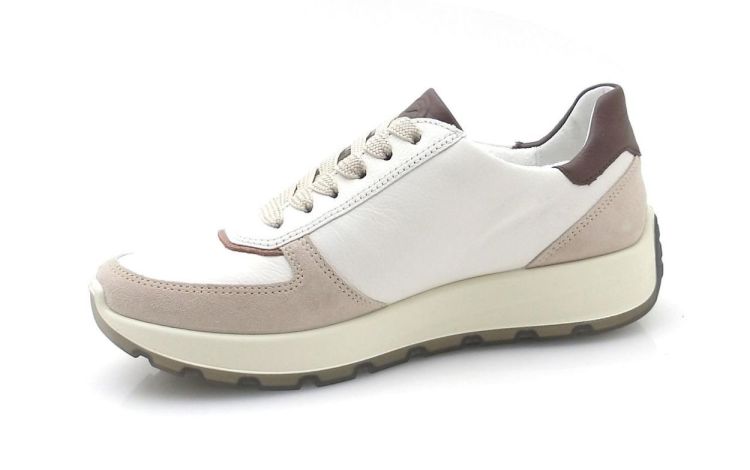 ARA 12-25112-29 (260133) - Reynders - Daenen