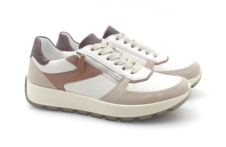 ARA 12-25112-29 (260133) - Reynders - Daenen