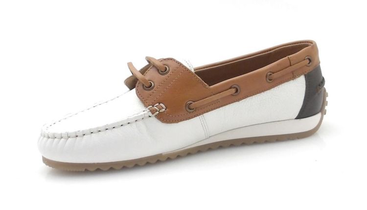 ARA 12-27704-04 (260308) - Reynders - Daenen