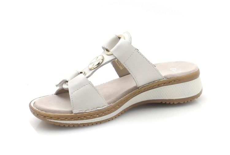 ARA 12-29003-97 (260308) - Reynders - Daenen