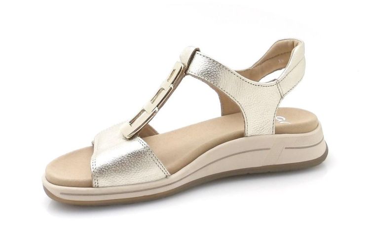 ARA 12-34804-11 (260225) - Reynders - Daenen