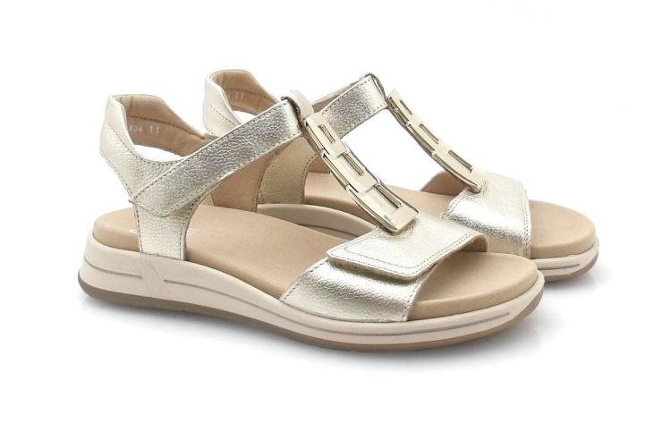 ARA 12-34804-11 (260225) - Reynders - Daenen