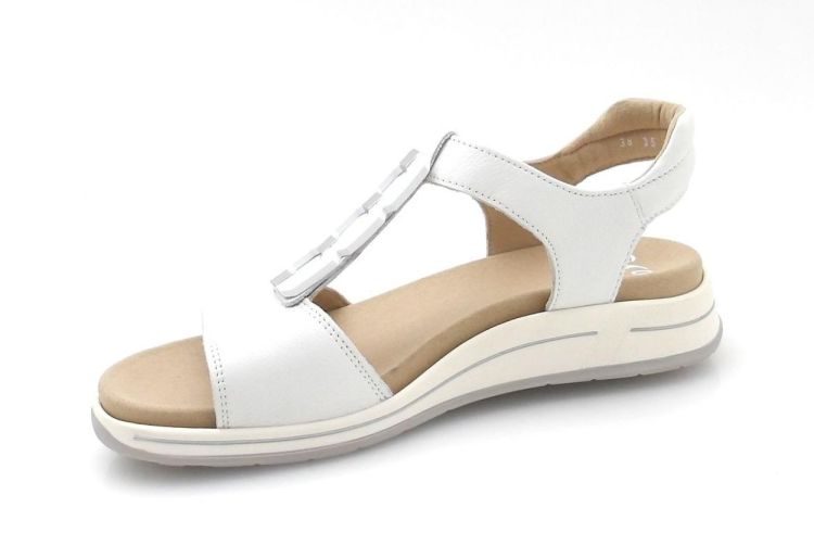 ARA 12-34810-04 (260225) - Reynders - Daenen