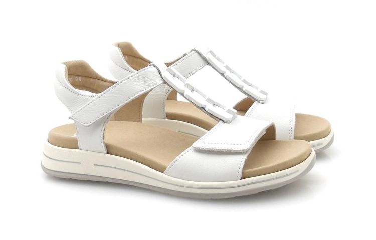 ARA 12-34810-04 (260225) - Reynders - Daenen