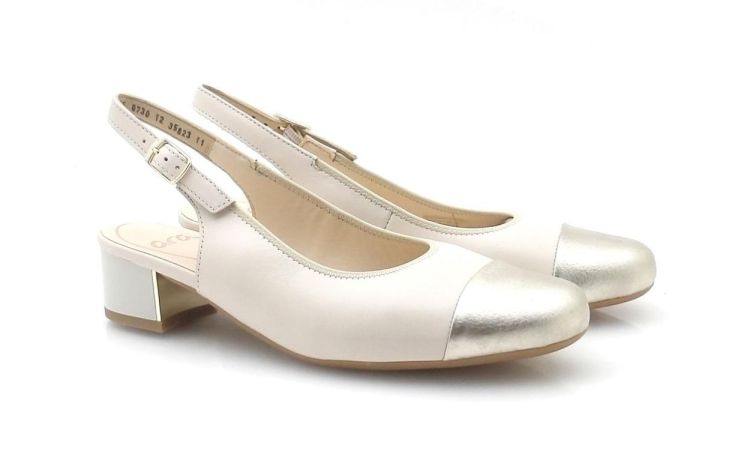 ARA 12-35823-11 (260133) - Reynders - Daenen