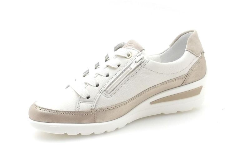 ARA 12-50601-09 (260133) - Reynders - Daenen