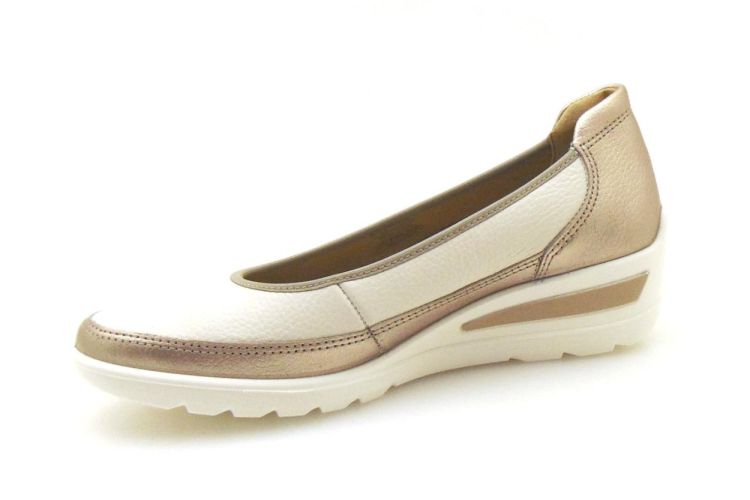 ARA 12-50664-08 (250255-311) - Reynders - Daenen