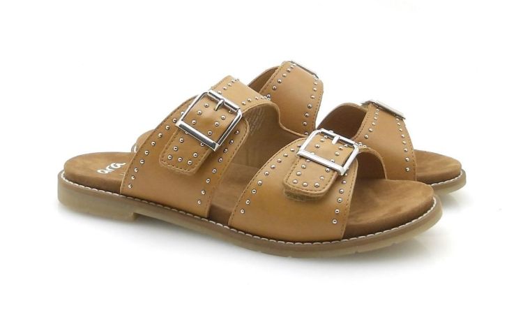 ARA 12-53608-09 (260308) - Reynders - Daenen