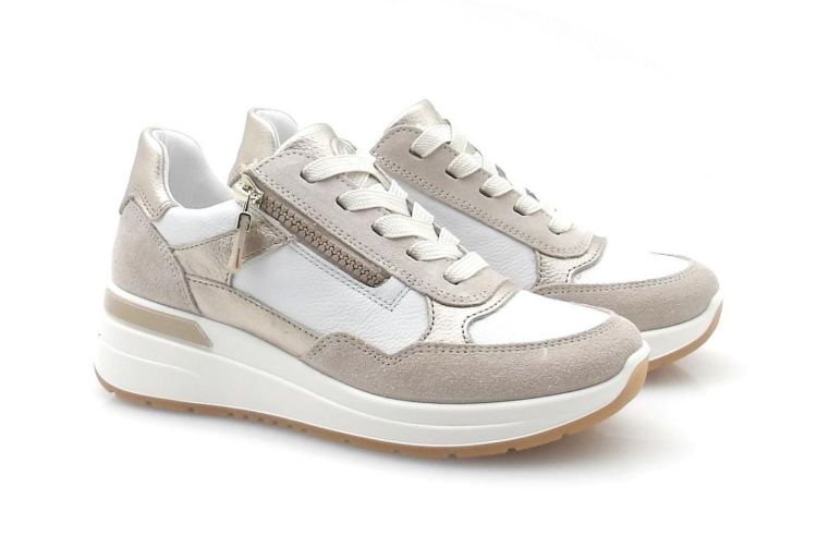 ARA 12-57702-25 (260134) - Reynders - Daenen