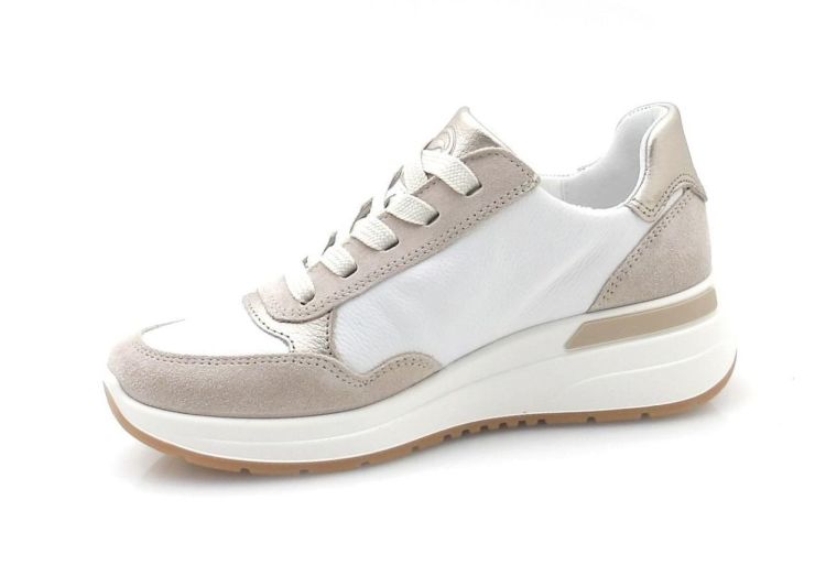 ARA 12-57702-25 (260134) - Reynders - Daenen