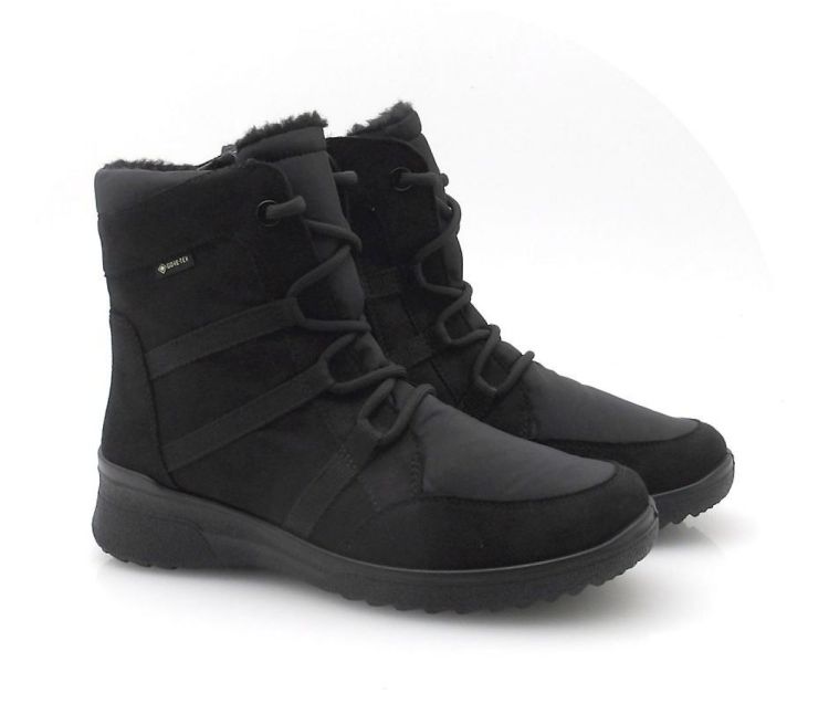 ARA 12-58504-01 GTX (260756) - Reynders - Daenen