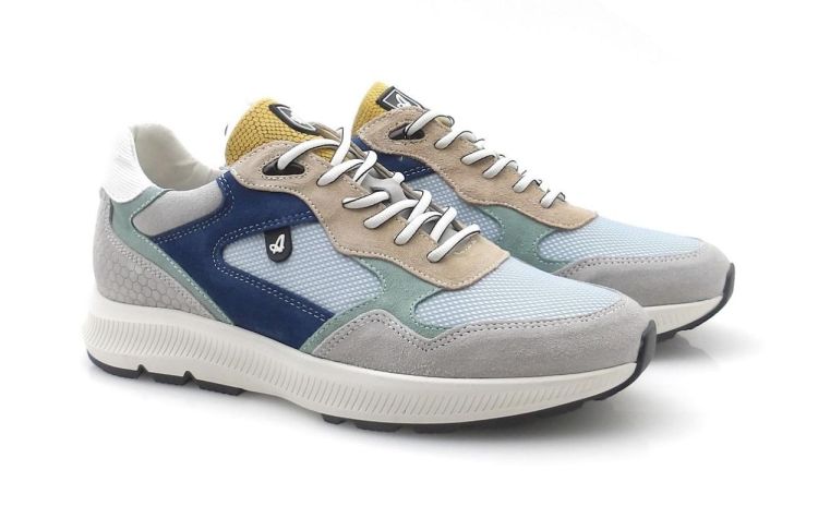 Australian Cadiz 15.1717 (260186) - Reynders - Daenen