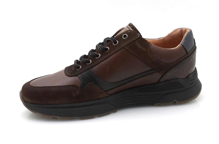 Australian Connery 15.1646 H (250623-872) - Reynders - Daenen