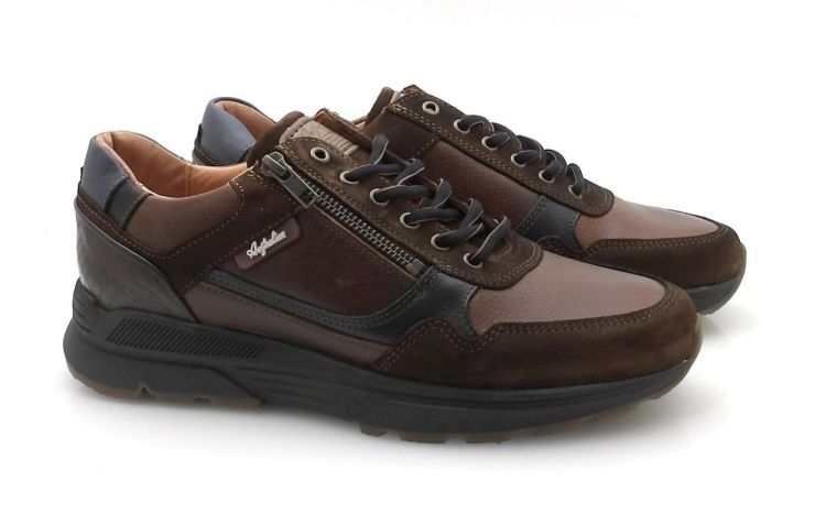 Australian Connery 15.1646 H (250623-872) - Reynders - Daenen