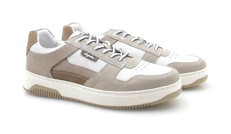 Australian Richmond 15.1707 (260107) - Reynders - Daenen