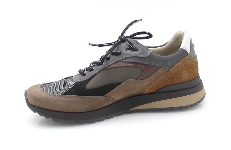 Australian Sparrow 15.1700 (250778) - Reynders - Daenen