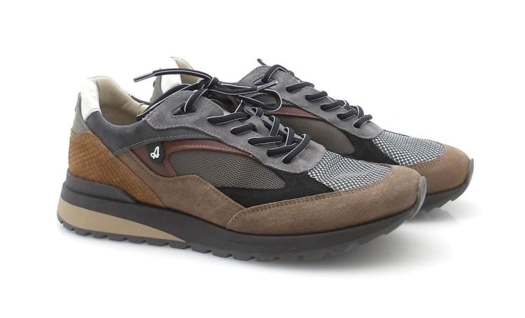 Australian Sparrow 15.1700 (250778) - Reynders - Daenen