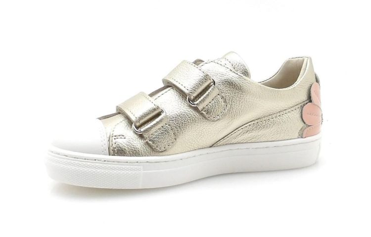 Bana&Co 2052 (260078) - Reynders - Daenen