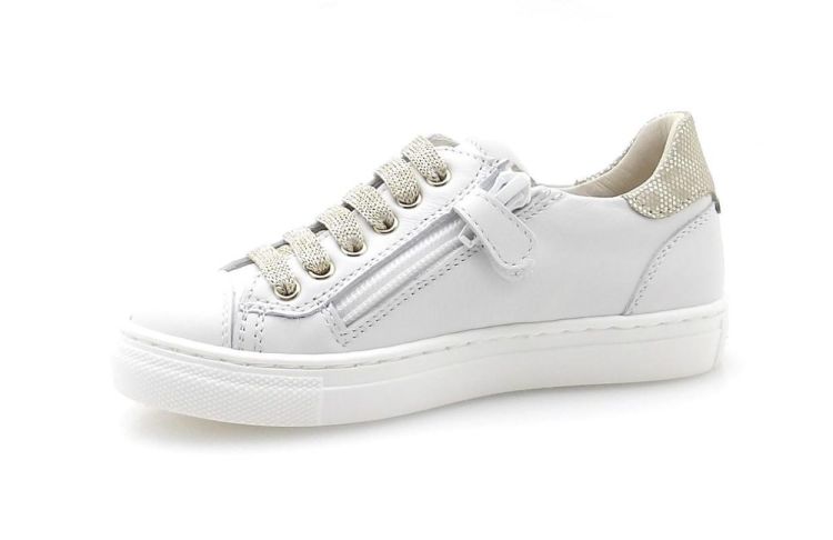 Bana&Co 2077 (260078) - Reynders - Daenen