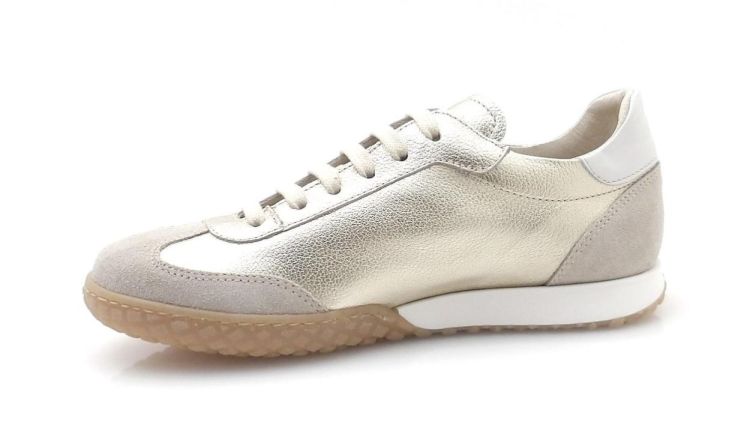 Bana&Co 2100 (260181) - Reynders - Daenen