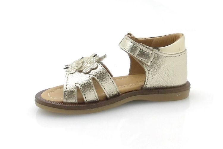 Bana&Co 2105 (260181) - Reynders - Daenen