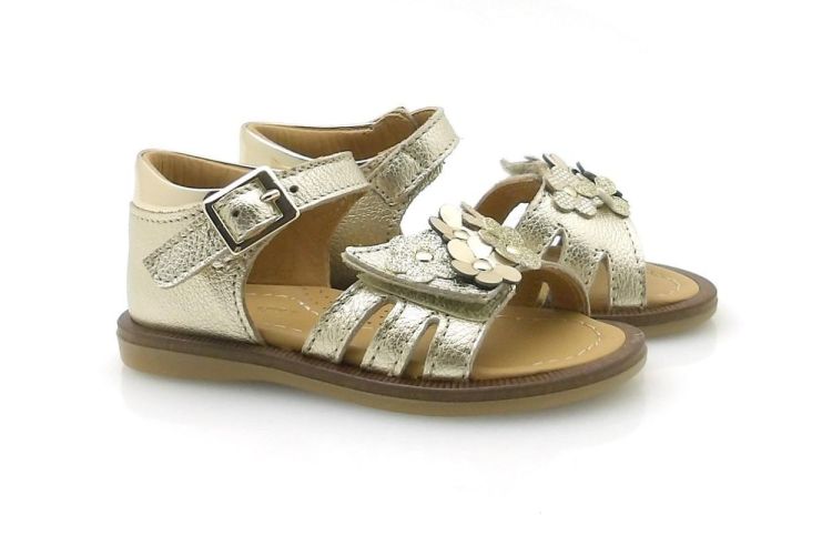 Bana&Co 2105 (260181) - Reynders - Daenen