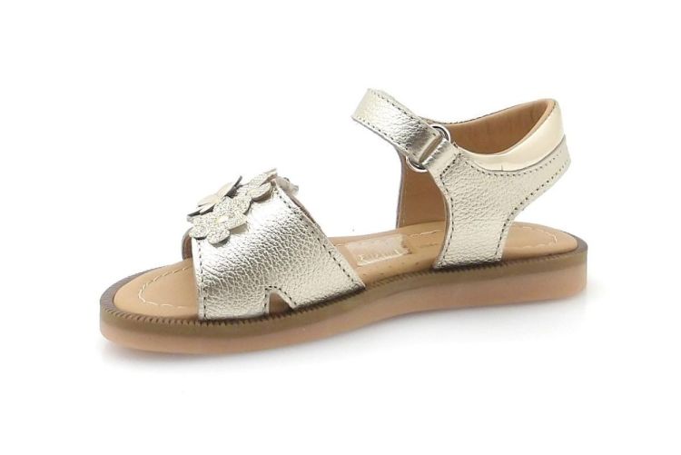 Bana&Co 2107 (260181) - Reynders - Daenen