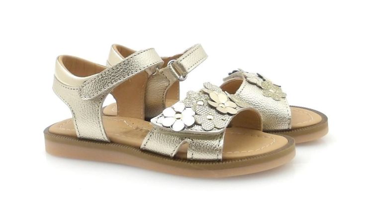 Bana&Co 2107 (260181) - Reynders - Daenen