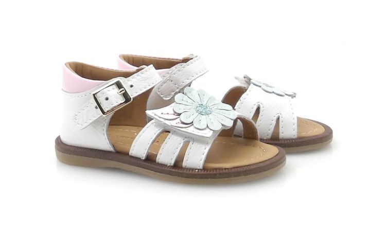 Bana&Co 2125-Li (260181) - Reynders - Daenen